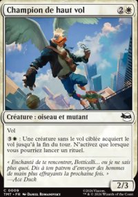 Champion de haut vol - Teenage Mutant Ninja Turtles