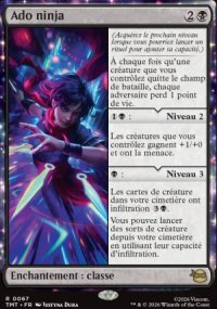 Ado ninja - Teenage Mutant Ninja Turtles