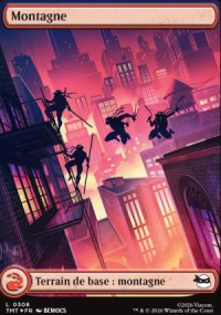 Montagne - Teenage Mutant Ninja Turtles